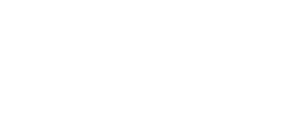 Swarovski